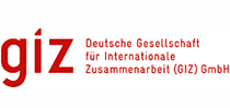 GIZ, International, Services